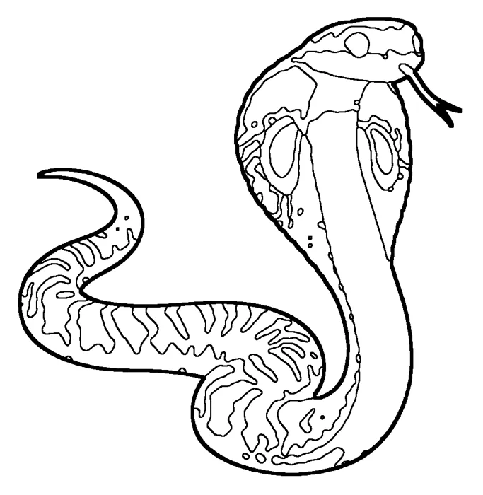 Coloriage de le cobra indien