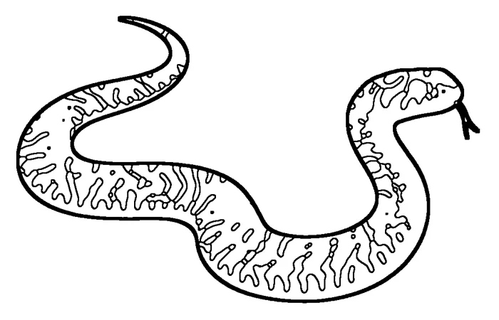 Coloriage de la couleuvre verte et jaune