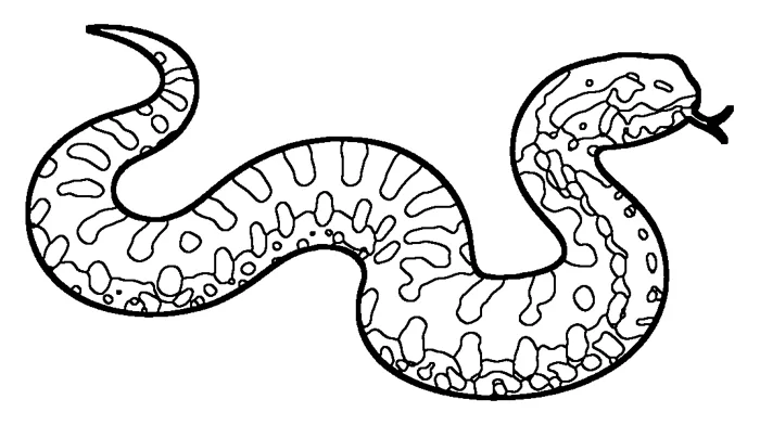 Coloriage de la couleuvre vipérine
