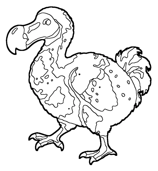 Coloriage de le dodo