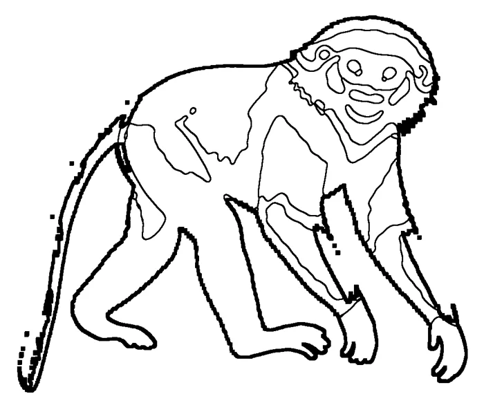 Coloriage de le douc