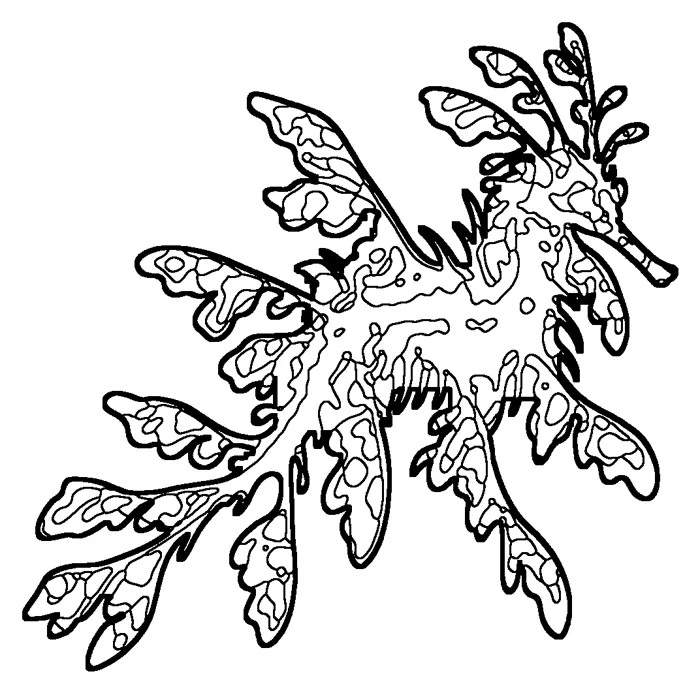 Coloriage de le dragon de mer