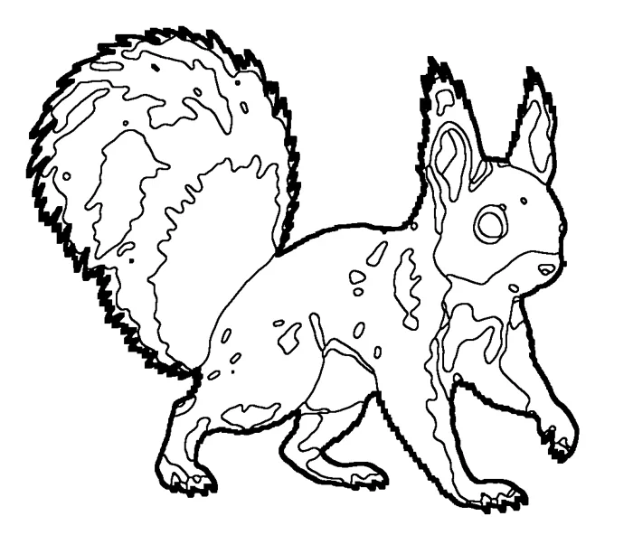 Coloriage : Écureuil roux