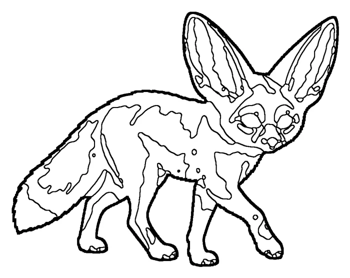 Coloriage : Fennec