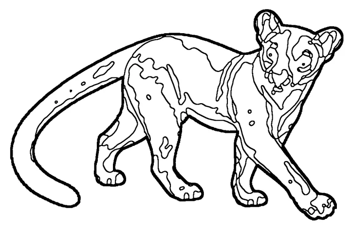 Coloriage de le fossa