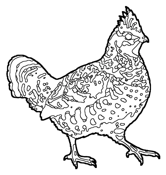 Coloriage : Gélinotte huppée