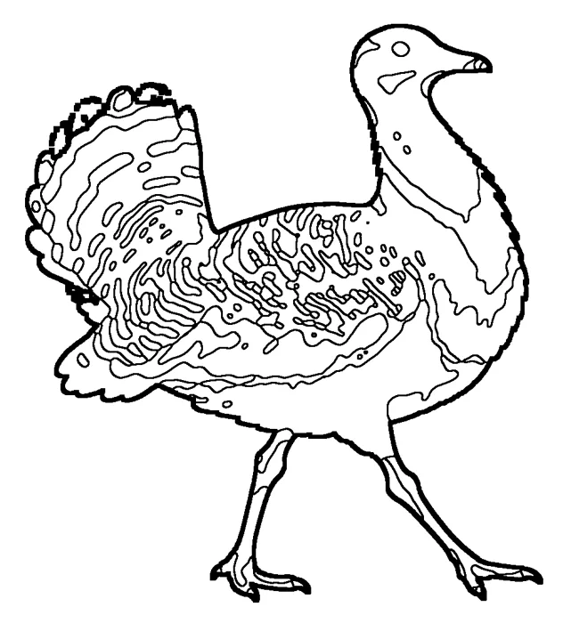 Coloriage de la grande outarde