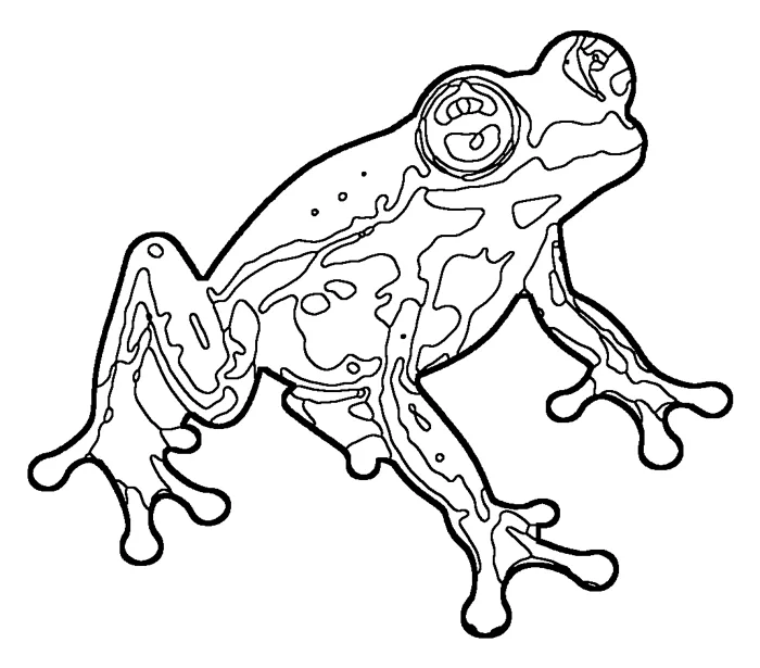 Coloriage : Grenouille de verre