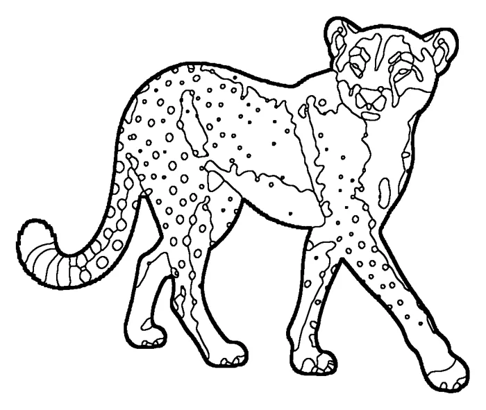 Coloriage de le guépard