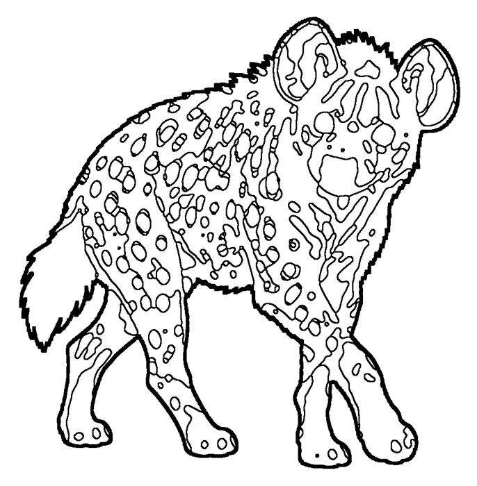 Coloriage de la hyène tachetée