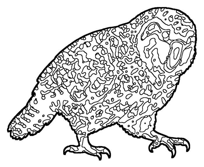 Coloriage de le kakapo