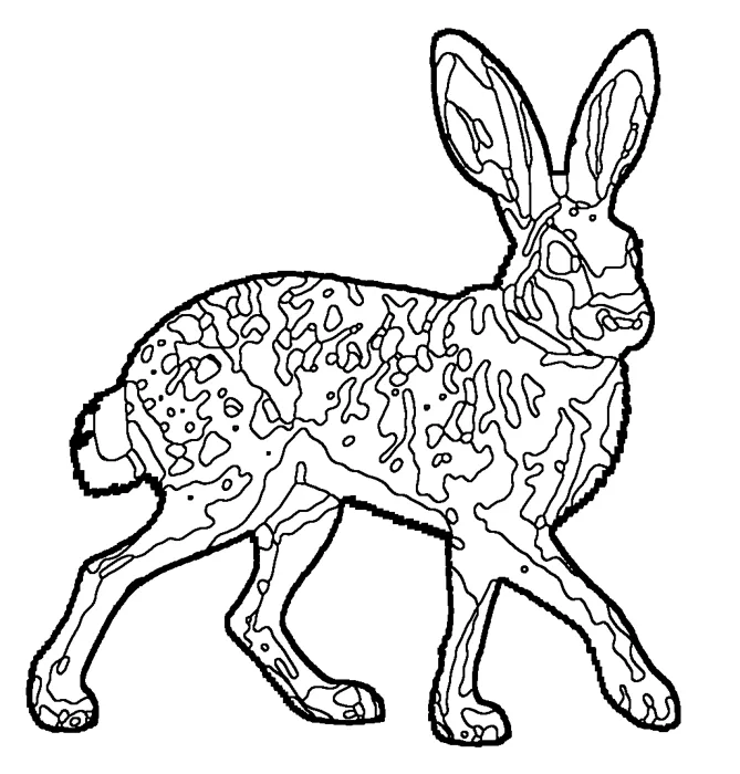 Coloriage de le lièvre d'Europe