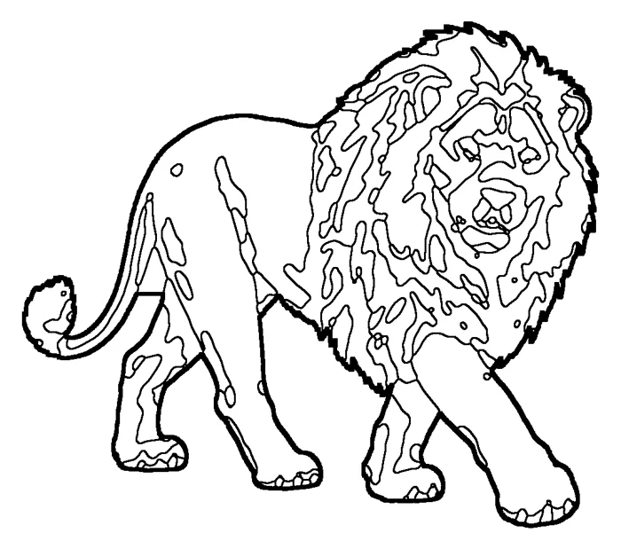 Coloriage de le lion blanc