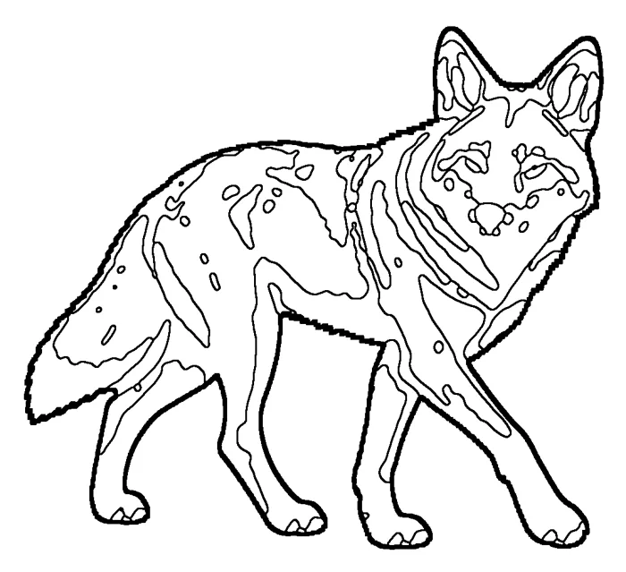 Coloriage de le loup rouge