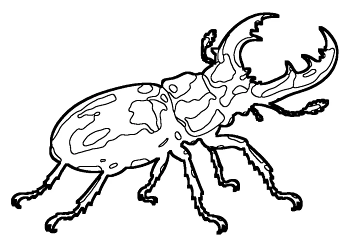Coloriage de le lucane cerf-volant