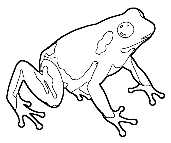 Coloriage : Mantelle dorée