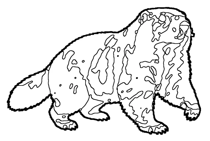 Coloriage de la marmotte des Alpes