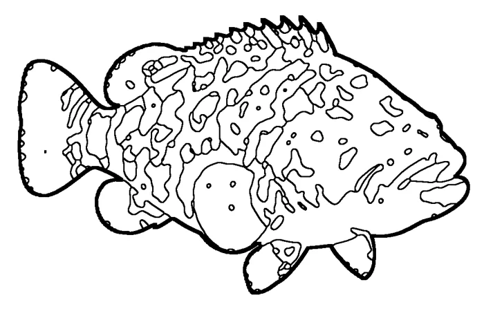Coloriage de le mérou géant
