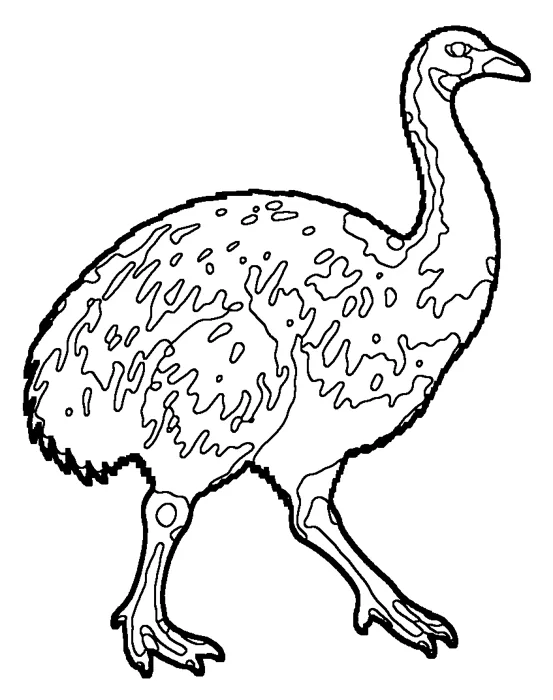 Coloriage de le moa géant