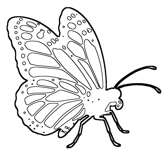 Coloriage de le monarque