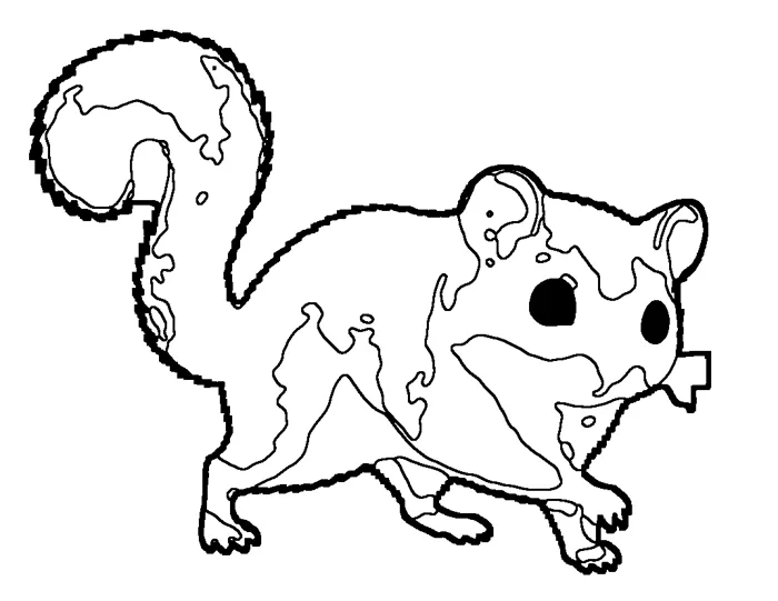 Coloriage de le muscardin