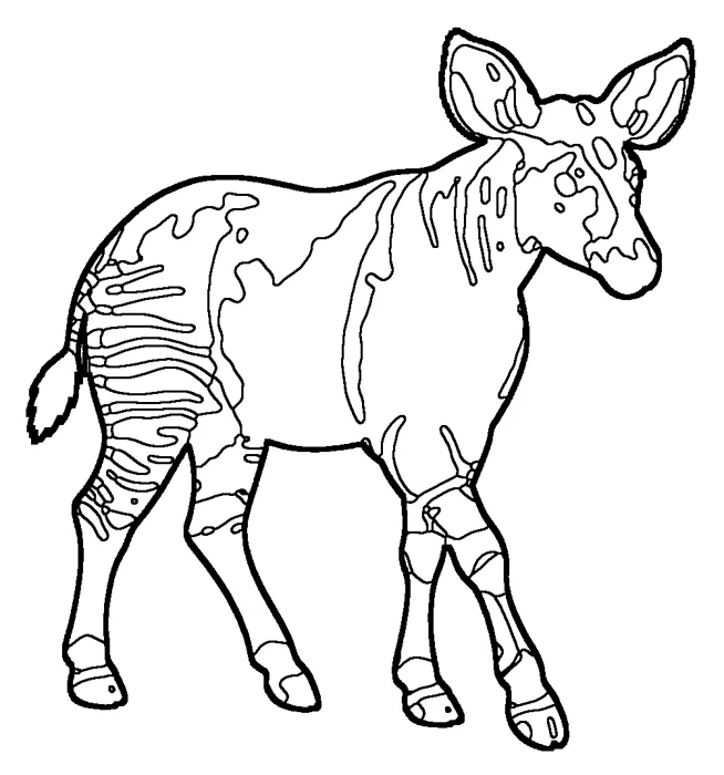 Coloriage de l’okapi