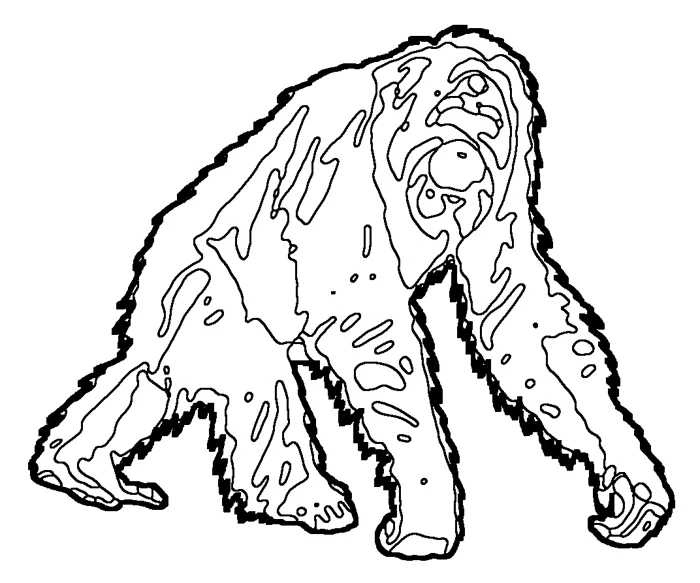 Coloriage : Orang-outan de Sumatra