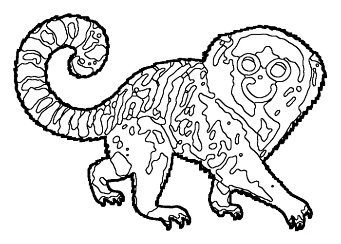 Coloriage : Ouistiti pygmée