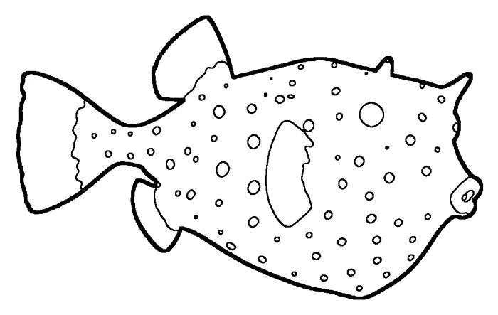 Coloriage : Poisson-coffre jaune