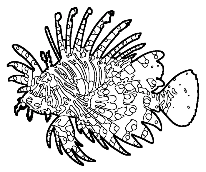 Coloriage de le poisson-lion