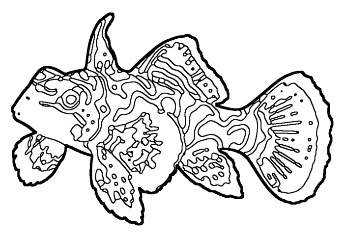 Coloriage de le poisson-mandarin