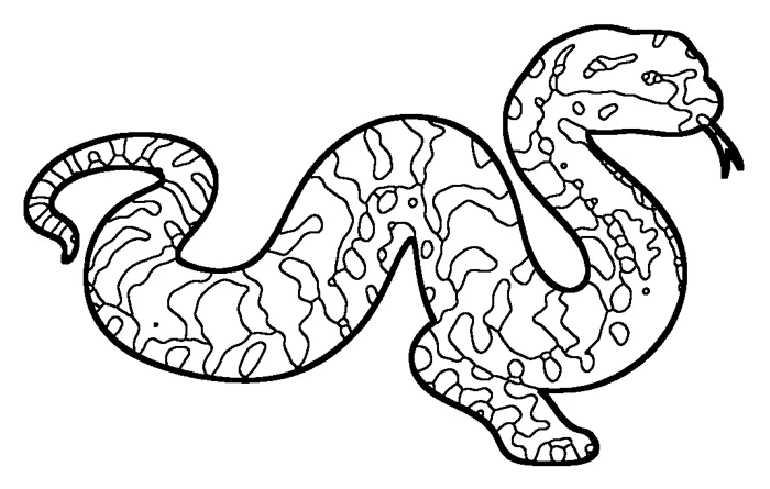 Coloriage de le python tapis