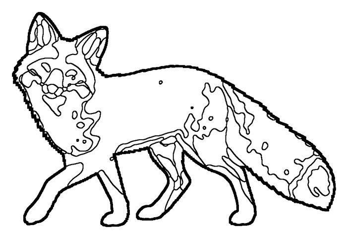 Coloriage de le renard roux