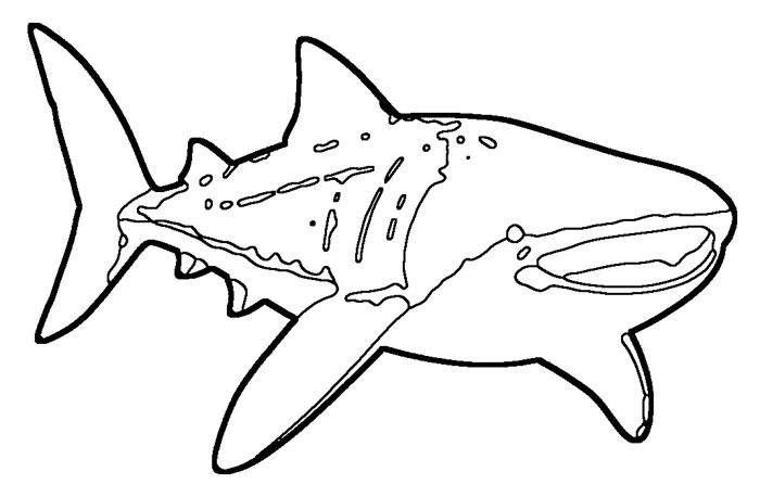 Coloriage de le requin-baleine