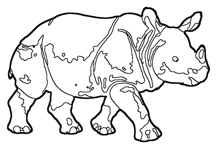 Coloriage de le rhinocéros de Java