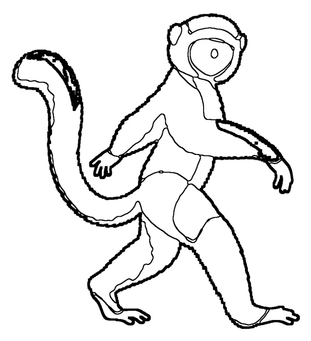 Coloriage de le sifaka de Verreaux