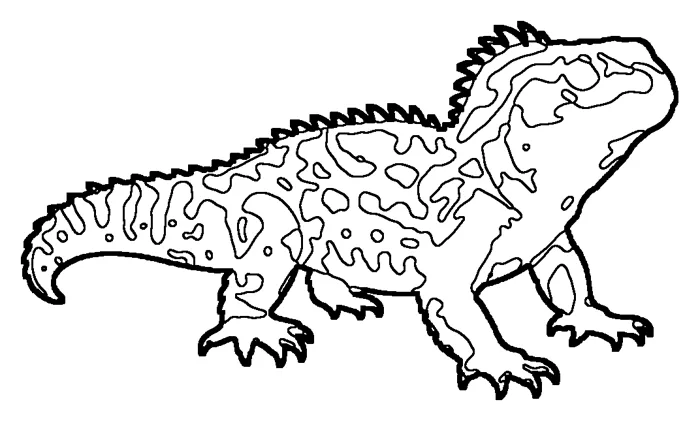 Coloriage de le tuatara