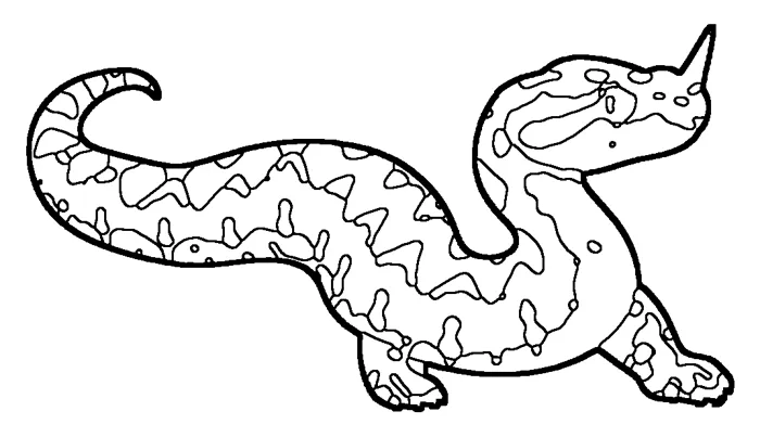 Coloriage de la vipère ammodyte