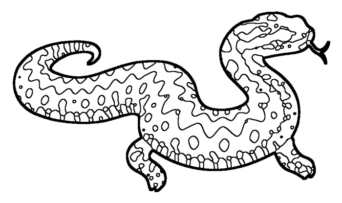 Coloriage de la vipère de Seoane