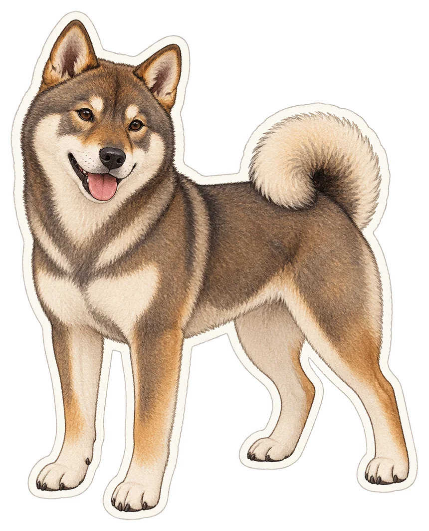 Shikoku