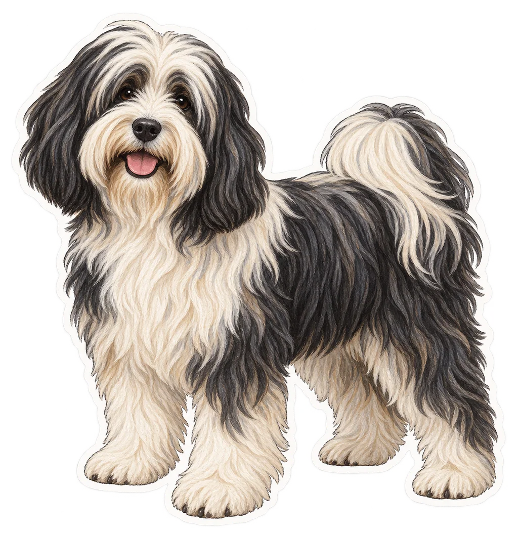 Terrier tibétain
