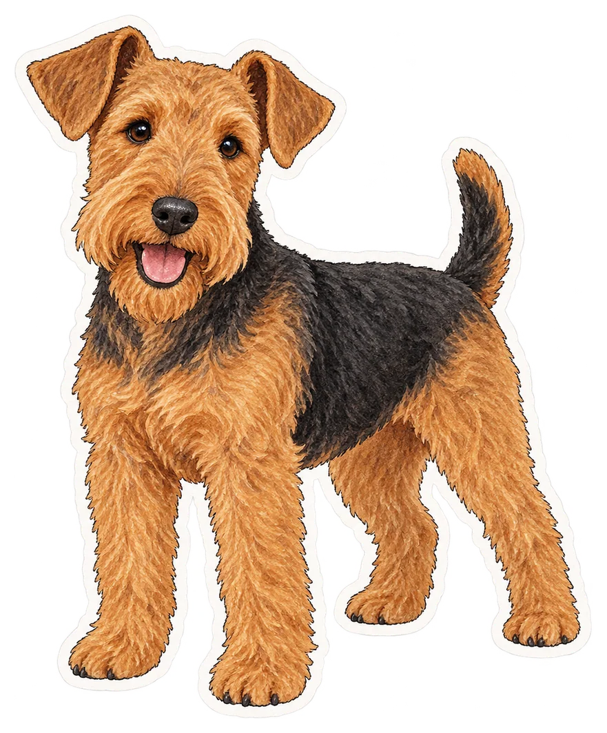 Welsh terrier